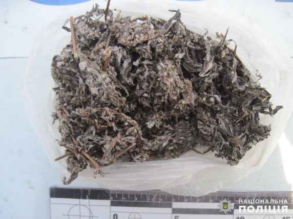 В Лиманському районі у перехожого поліцейські вилучили психоактивну речовину