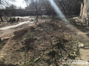 У Слов’янську поліцейські розслідують факт жорстокого поводження з собакою, що призвело до загибелі тварини