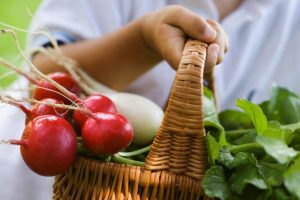 Определено, как будут отбирать продукцию для контроля уровня нитратов