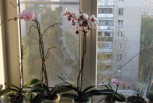 Приметы на 27 марта: что категорически нельзя делать в Федоров день