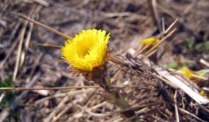 Родительская суббота 23 марта: что категорически нельзя делать