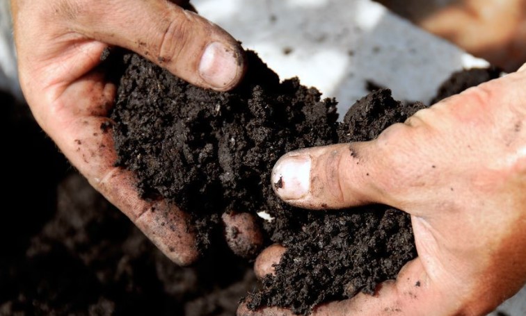 Ученые установили, что в украинских грунтах не хватает важного елемента