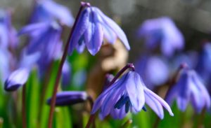 Приметы на 28 марта: что категорически нельзя делать в Александров день