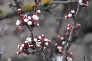 Приметы на 19 марта: что категорически нельзя делать в день Елены и Константина