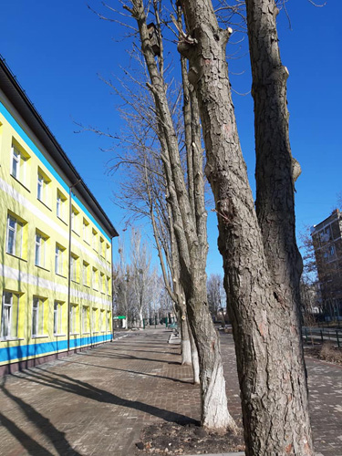 53669237 122328745527103 725467375553478656 n