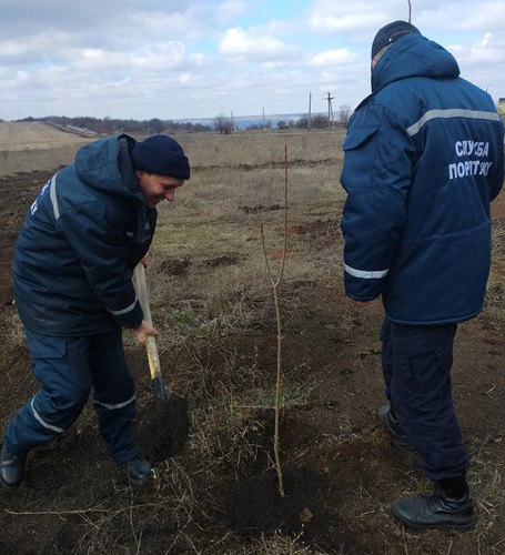 53836732 379640009434682 8670978279823376384 n