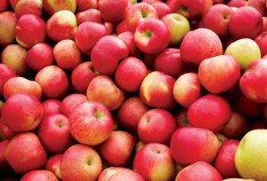 В Украине подорожают яблоки