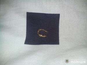 Син привів у гості крадія