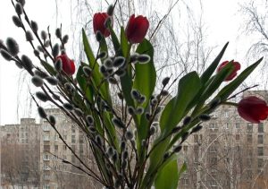 Приметы на 8 марта: что категорически нельзя делать