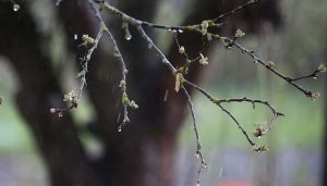 Приметы на 24 марта: что категорически нельзя делать