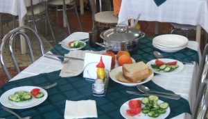 Банани по 50 грн, цибуля по 30:  дитячо-молодіжний санаторій переплатить за фрукти та овочі підприємцю зі Слов’янська