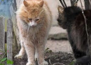 Настоящая весна: народный синоптик рассказал, когда в Украине потеплеет