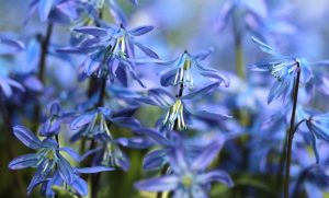 Приметы на 20 марта: что категорически нельзя делать в день Василия