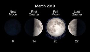 Завтра можно будет наблюдать “Червячное суперлуние”