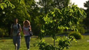 Почти +30 в апреле и похолодание в мае: какой будет погода до конца весны