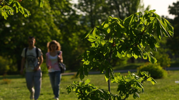 Почти +30 в апреле и похолодание в мае: какой будет погода до конца весны