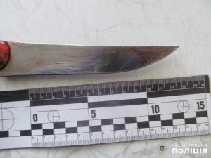 В Святогорске задержана женщина-убийца