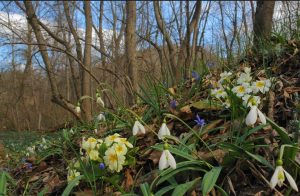 Приметы на 26 марта: что категорически нельзя делать в Никифоров день