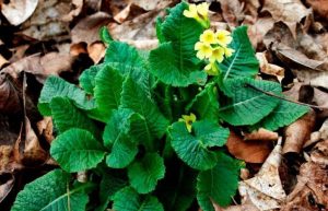 Теплый Алексей 30 марта: что обязательно нужно сделать