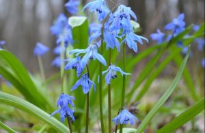 Приметы на 18 марта: что нельзя делать в этот день