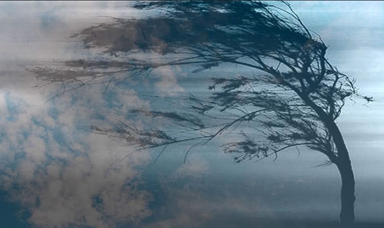 Увага, вітер! Попередження про погіршення погодних умов на Донеччині