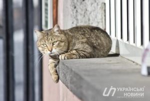 Приметы на 16 марта: что категорически нельзя делать