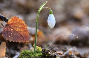 Приметы на 25 марта: что категорически нельзя делать в день Феофана