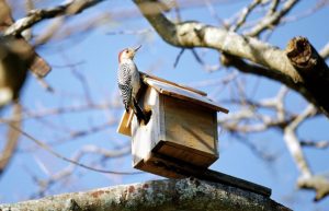 Приметы на 12 марта: что категорически нельзя делать на Прокопа