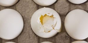 В Славянске пожаловались на куриные яйца