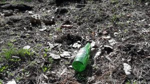 Все алкогольные пристрастия жителей и гостей Славянска на одной поляне Славкурорта