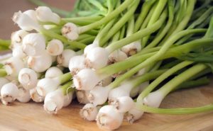 Стало известно, кому необходимо употребление свежего чеснока