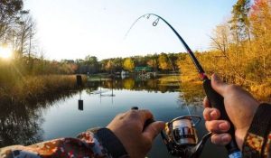 С 1 апреля в Украине запрещено рыбачить