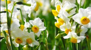 Приметы на 18 апреля: что категорически нельзя делать в день Федора