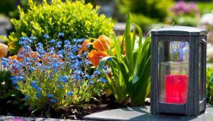 В парках и скверах собираются проводить биозахоронения