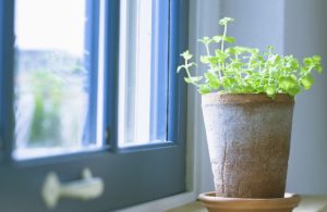 Приметы на 17 апреля: что нельзя делать в день Иосифа