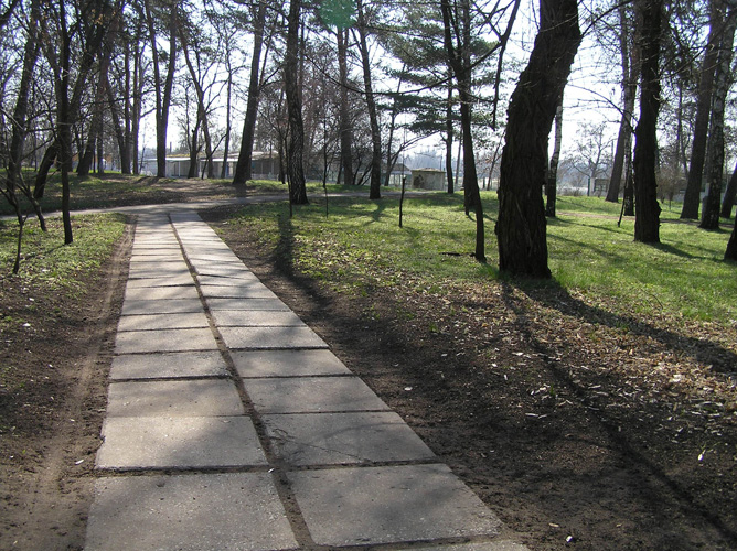 56236174 522598631600635 2208634254194114560 o