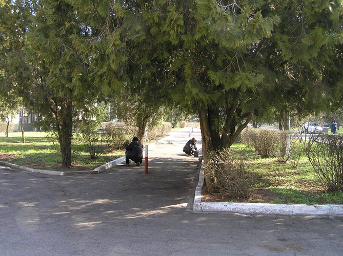 56378072 522598114934020 5046114783527436288 n