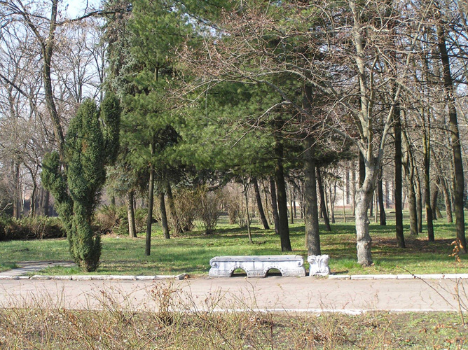 56426972 522598528267312 6276309157880528896 o