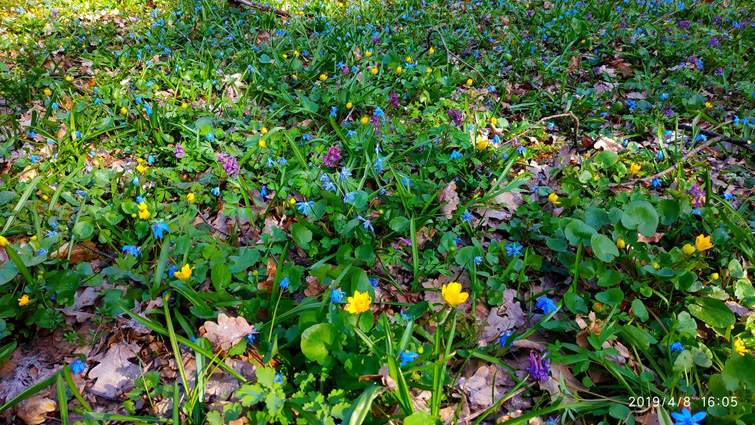 56492600 1226288827547098 6147178144332775424 o