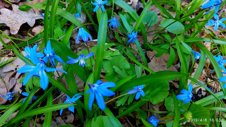 56506534 1226288757547105 8057969413120327680 o