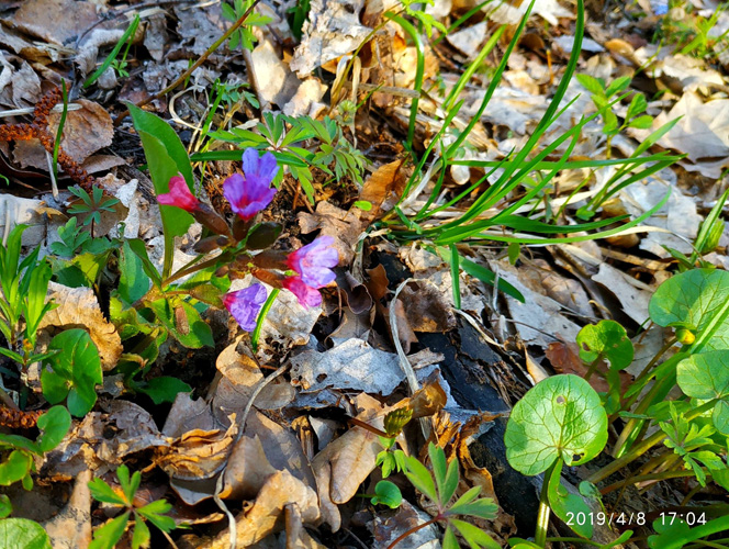 56526708 1226288937547087 1910885904096952320 o