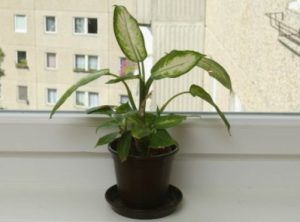 Допустимый уровень шума в доме: санитарные нормы