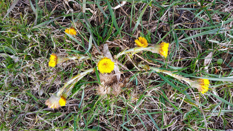 56706136 1226289137547067 4216720349145858048 o