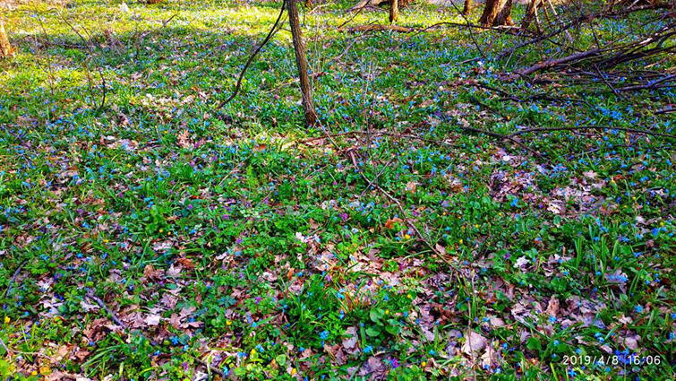 56938123 1226288914213756 4597681070672969728 n