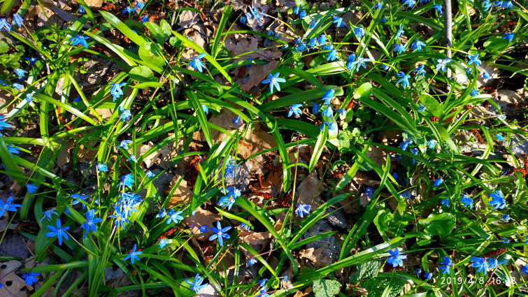 57154191 1226289027547078 6870973502002823168 o