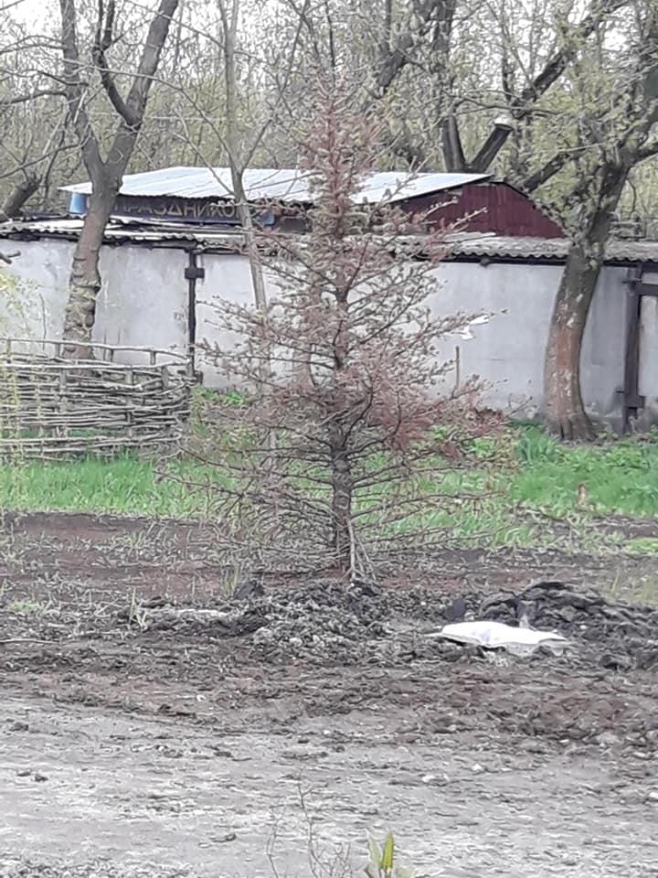 57160416 657023481411369 1585763902061281280 n