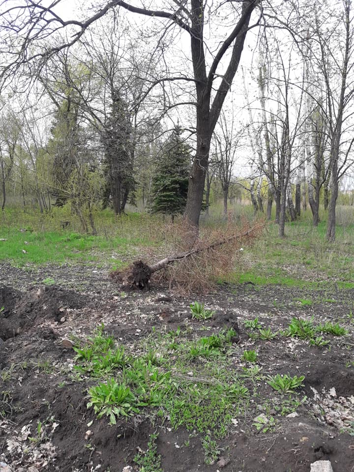 57378674 657023611411356 7808199395362471936 n