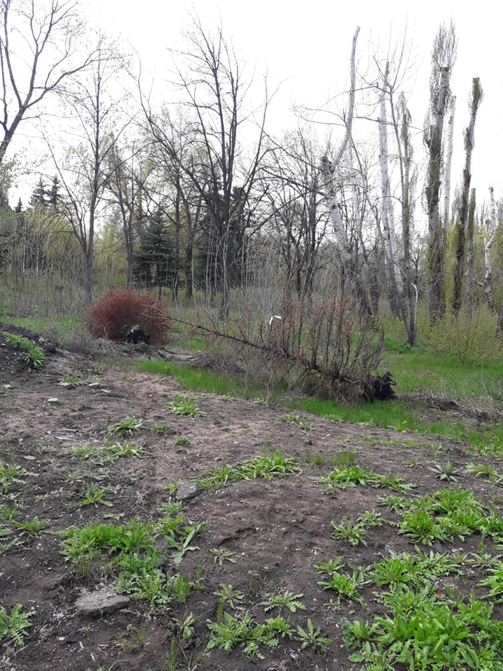 57446423 657023578078026 4023667590734807040 n