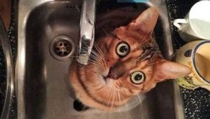 Запасаемся: завтра в Славянске не будет воды. Перечень районов