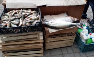 Нарушение всех санитарных норм: в Славянске просят запретит стихийную торговлю рыбой